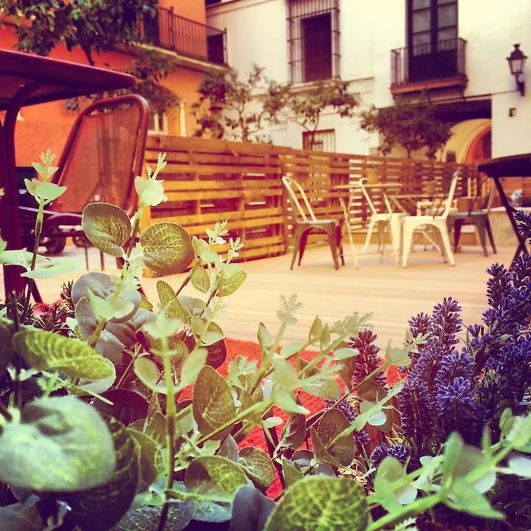 Toc Hostel Sevilla Séville